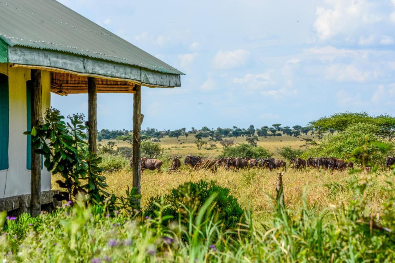 Africa Safari Serengeti Ikoma Экстерьер фото