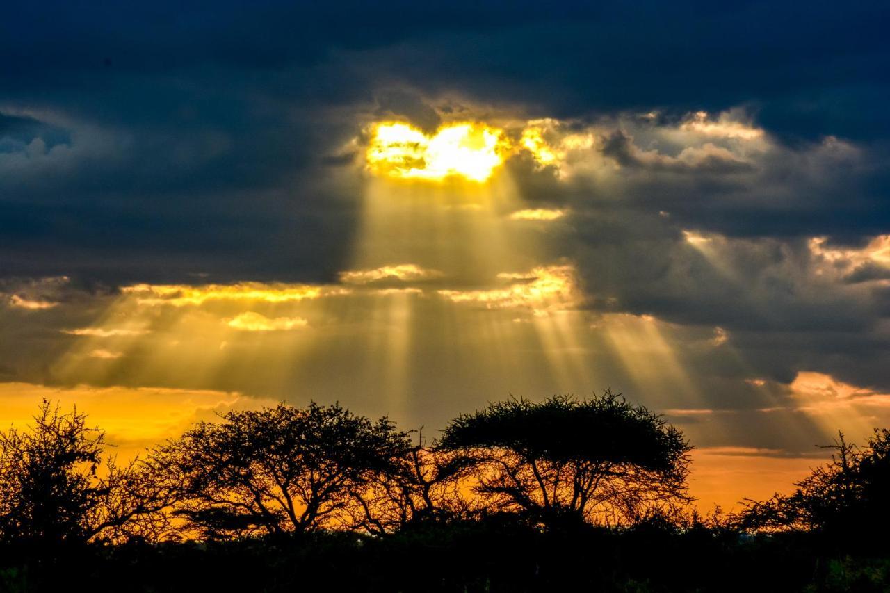 Africa Safari Serengeti Ikoma Экстерьер фото